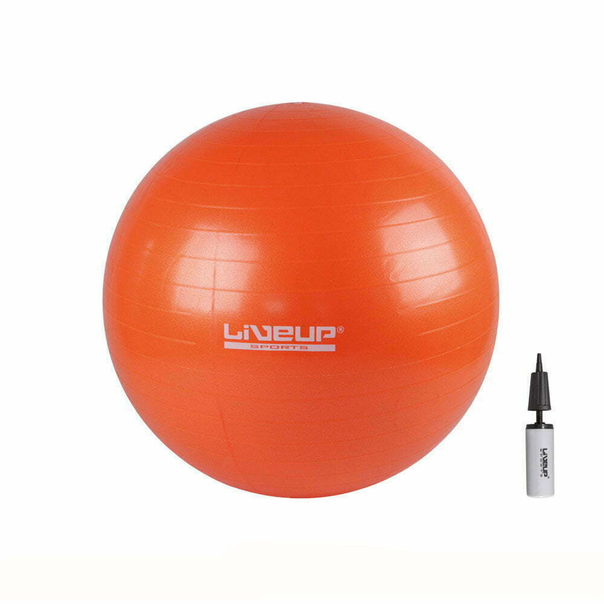 Live Up-Unisex-Accessories-Anti-burst  Gym ball-65cm Pink