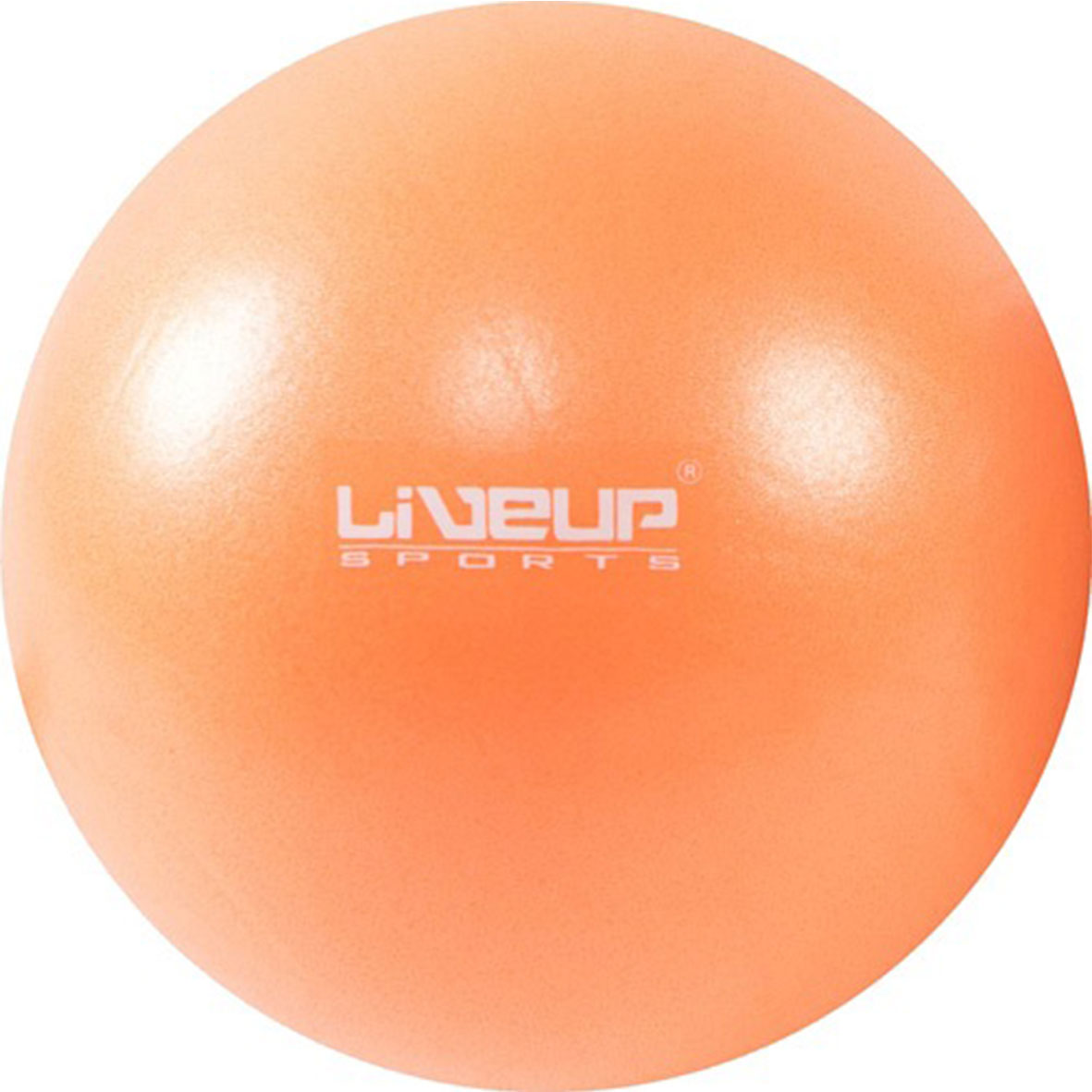 Live Up-Unisex-Accessories-MINI BALL-25cm